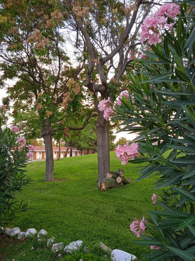 Bungalows Zaragoza Camping Buitenkant foto