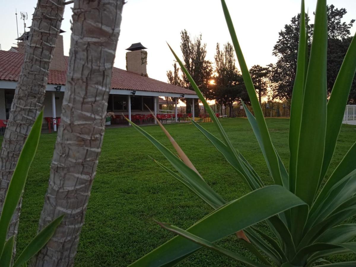 Bungalows Zaragoza Camping Buitenkant foto