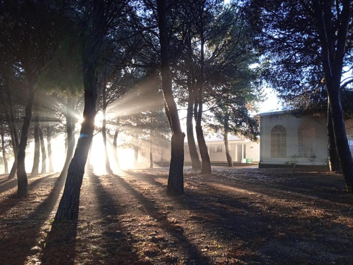 Bungalows Zaragoza Camping Buitenkant foto